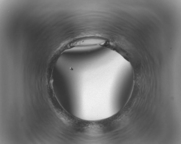 X0000067520256200604150207