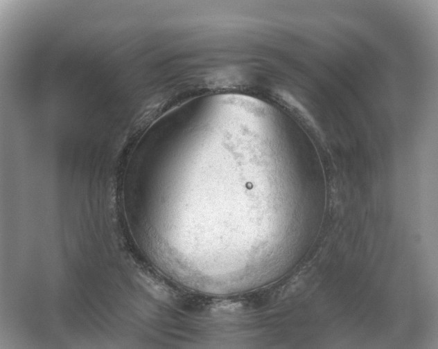 X0000067520257200604150207