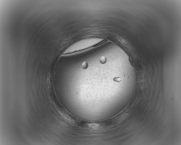 X0000067520265200604150207