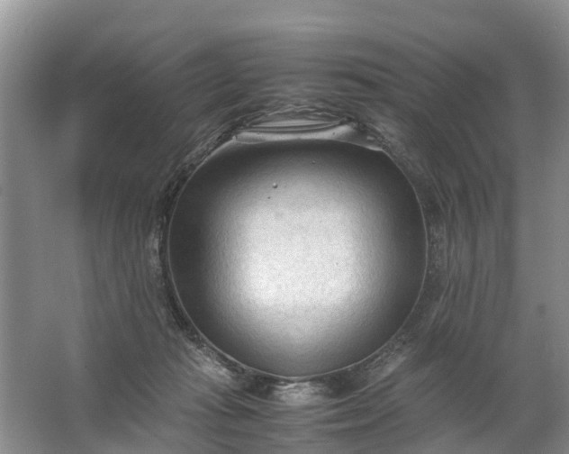 X0000067520269200604150207