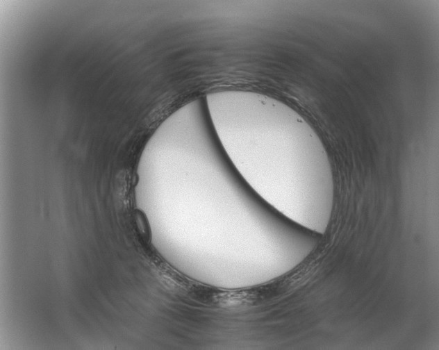 X0000067520273200604150207