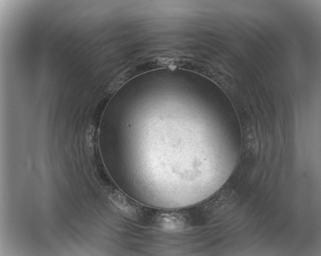 X0000067520275200604150207