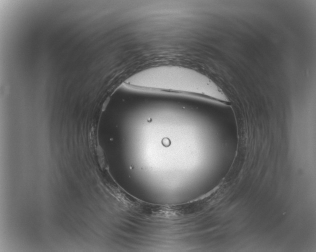 X0000067520276200604150207