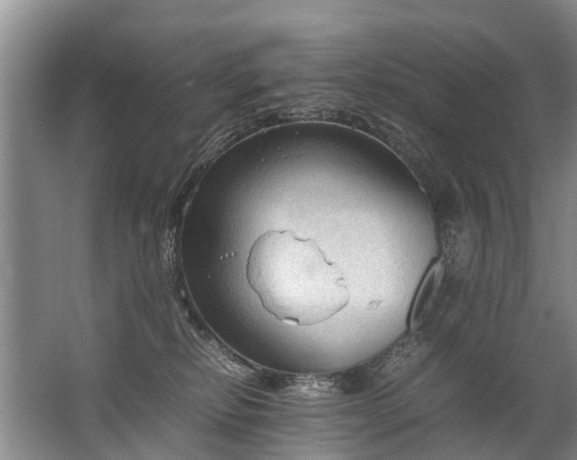 X0000067520278200604150207