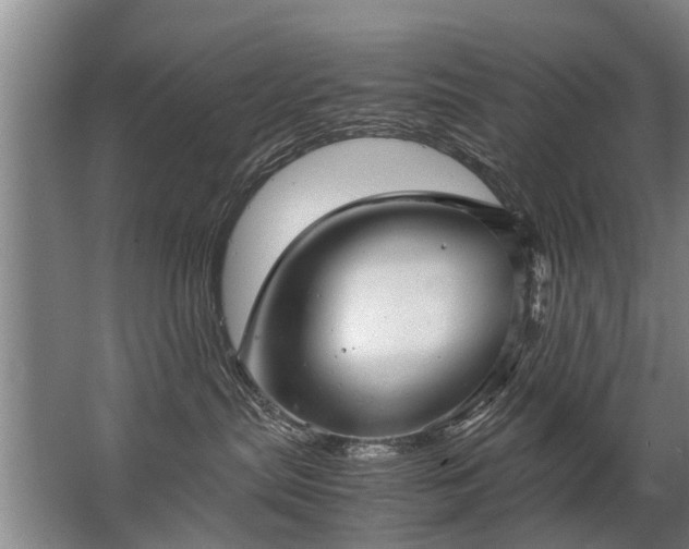 X0000067520287200604150208