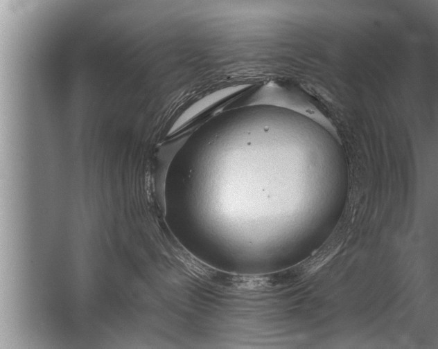 X0000067520288200604150208