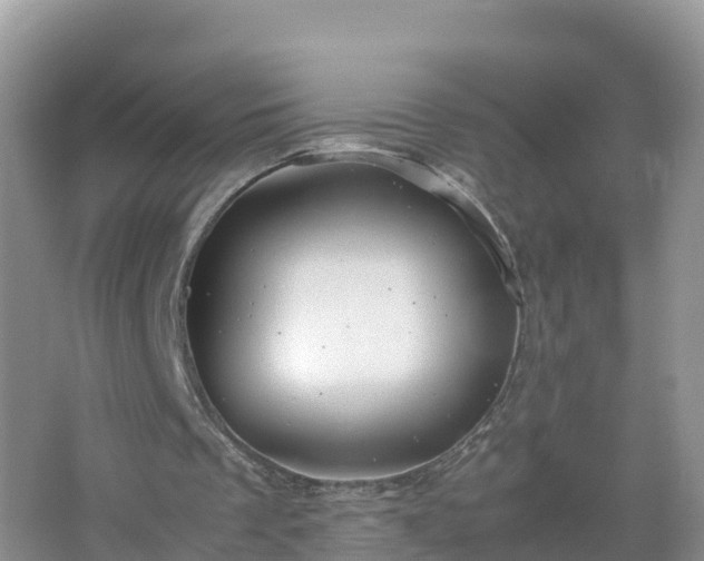 X0000067520289200604150207