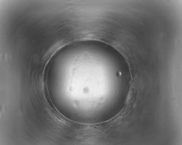 X0000067520290200604150207