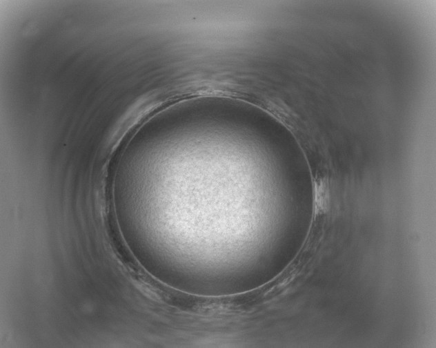 X0000067520291200604150207