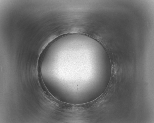 X0000067520292200604150207