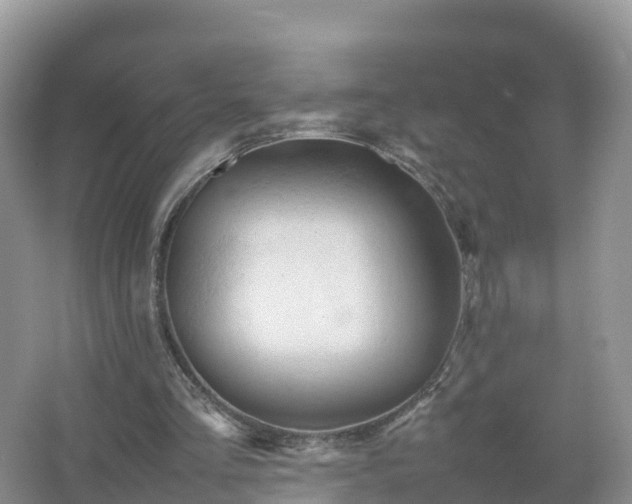 X0000067520293200604150207