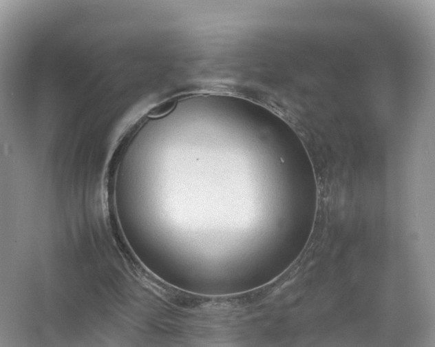 X0000067520294200604150207