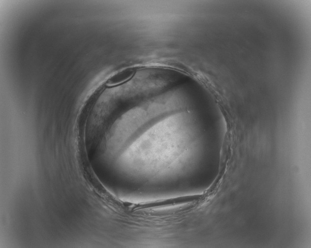 X0000067520295200604150207