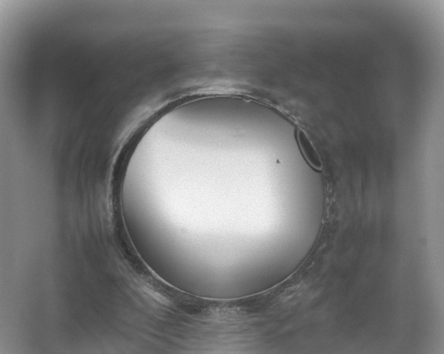 X0000067520296200604150207