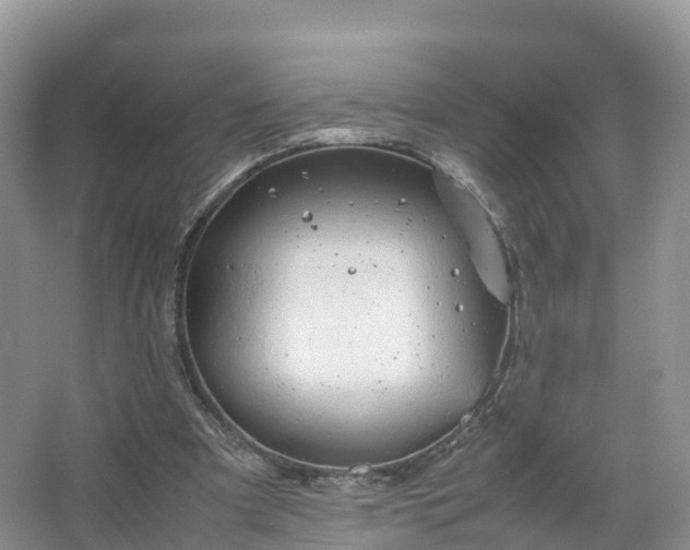 X0000067520297200604150207