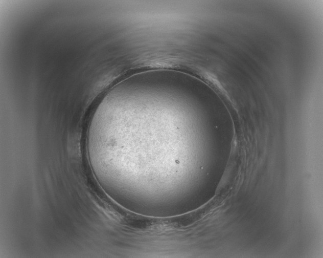 X0000067520299200604150207