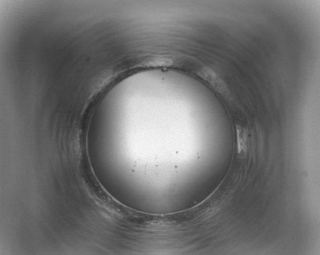 X0000067520300200604150207