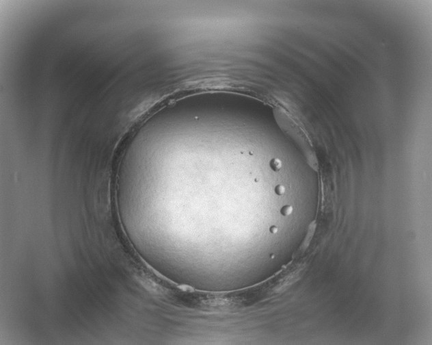 X0000067520301200604150207