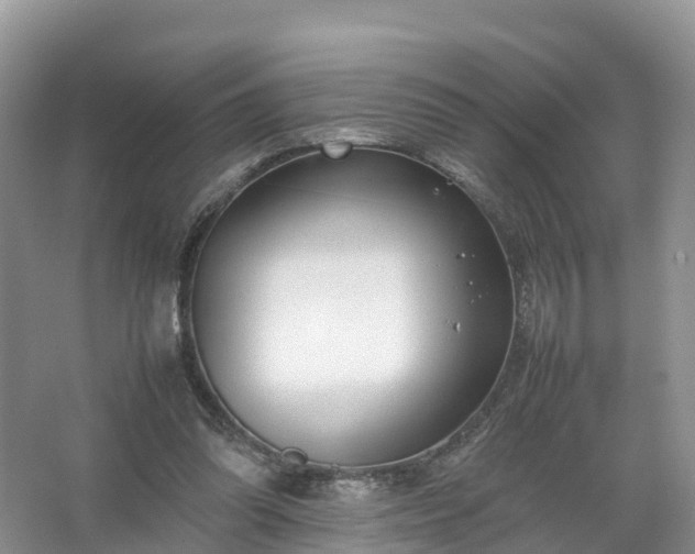 X0000067520302200604150207