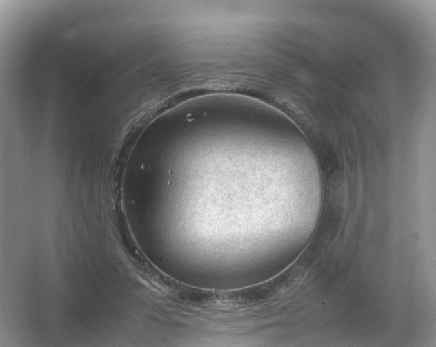 X0000067520303200604150207