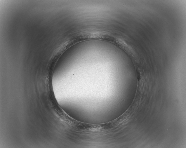 X0000067520306200604150207