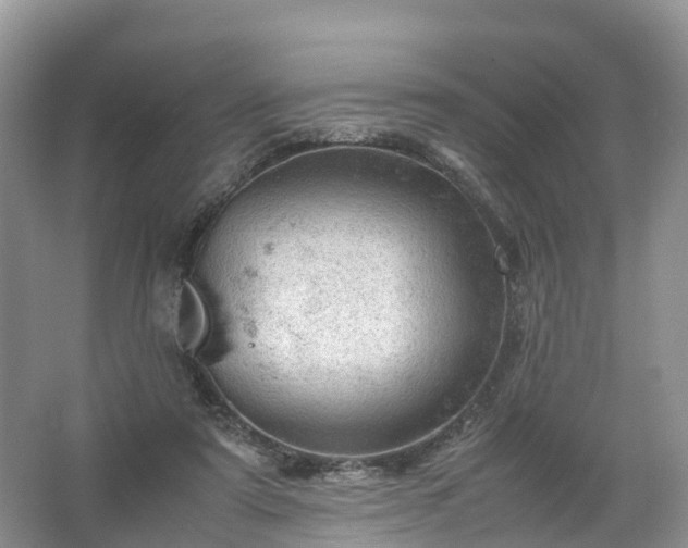 X0000067520307200604150207