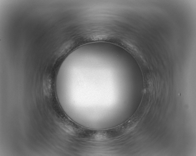 X0000067520308200604150207