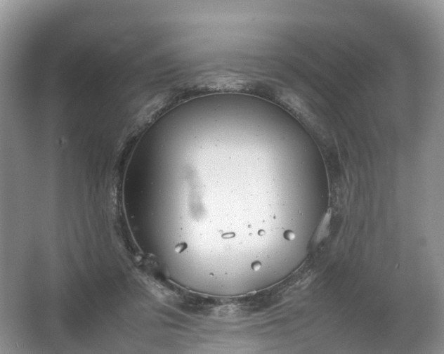 X0000067520309200604150206