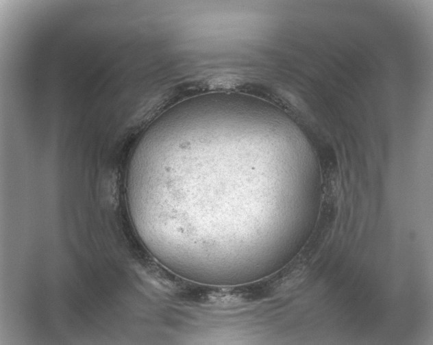 X0000067520311200604150206