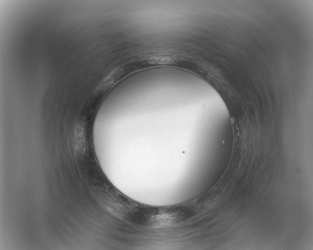 X0000067520312200604150206