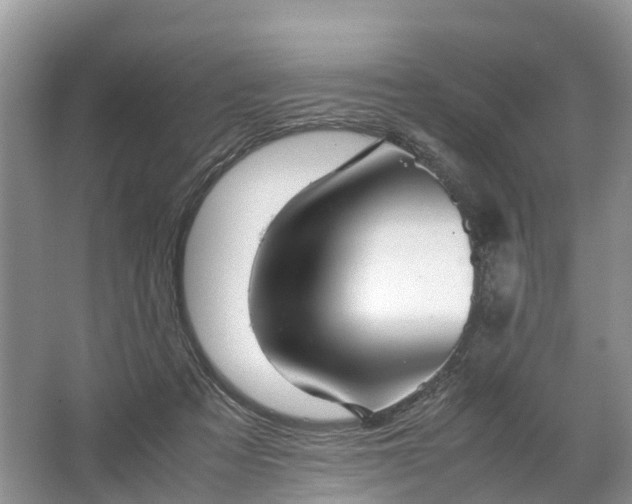 X0000067520313200604150206