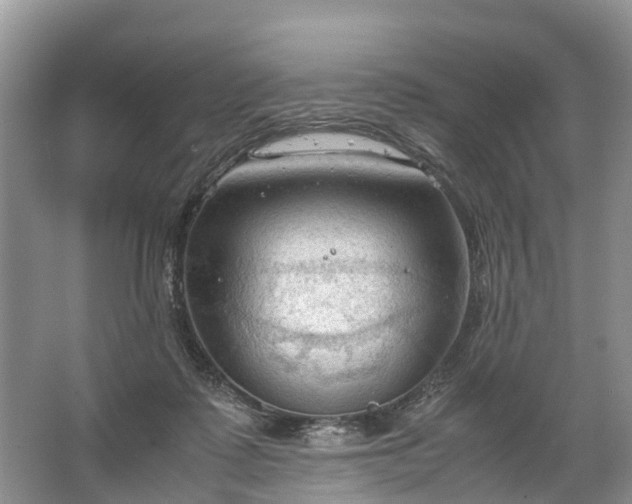 X0000067520315200604150206