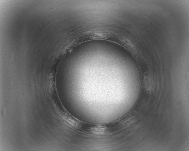 X0000067520318200604150206