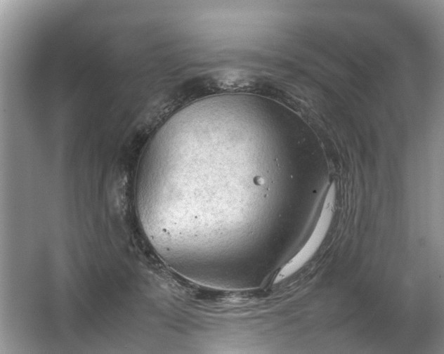 X0000067520319200604150206