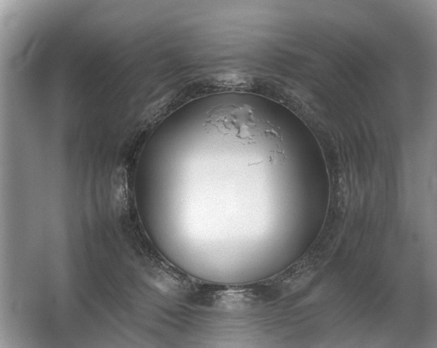 X0000067520320200604150206