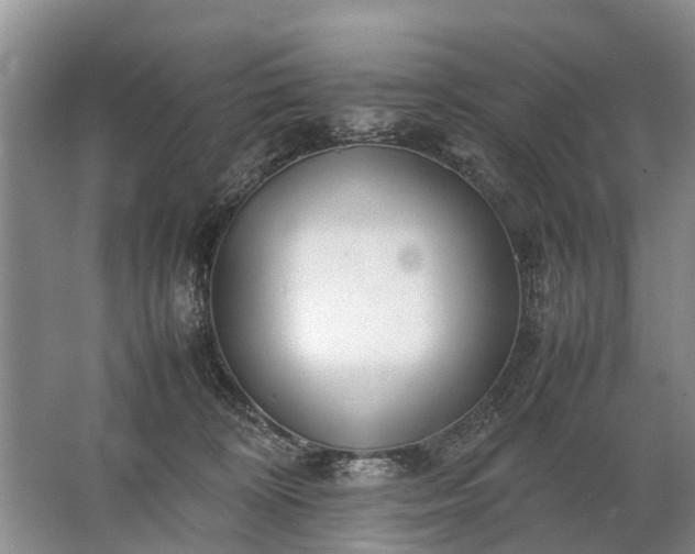 X0000067520324200604150206