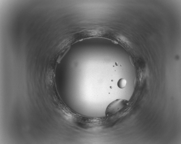 X0000067520325200604150206