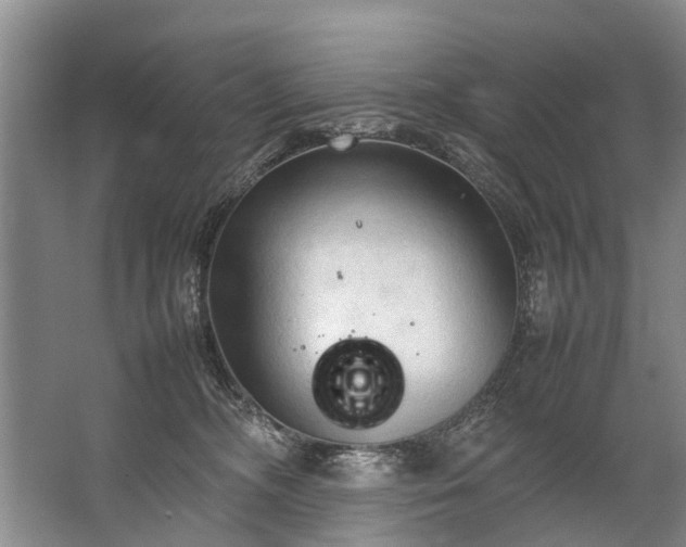 X0000067520326200604150206