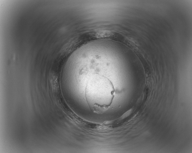 X0000067520327200604150206