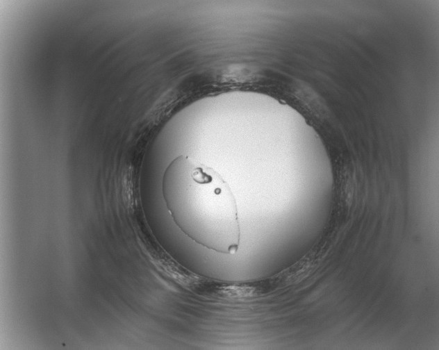 X0000067520328200604150206