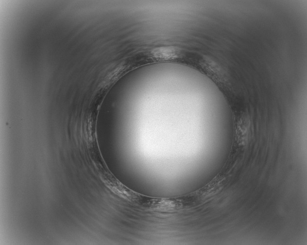 X0000067520330200604150206