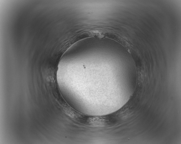 X0000067520331200604150206