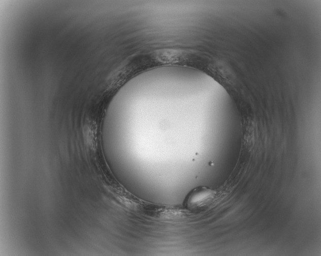 X0000067520332200604150206