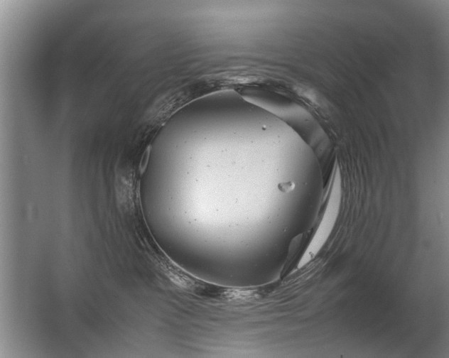 X0000067520333200604150206