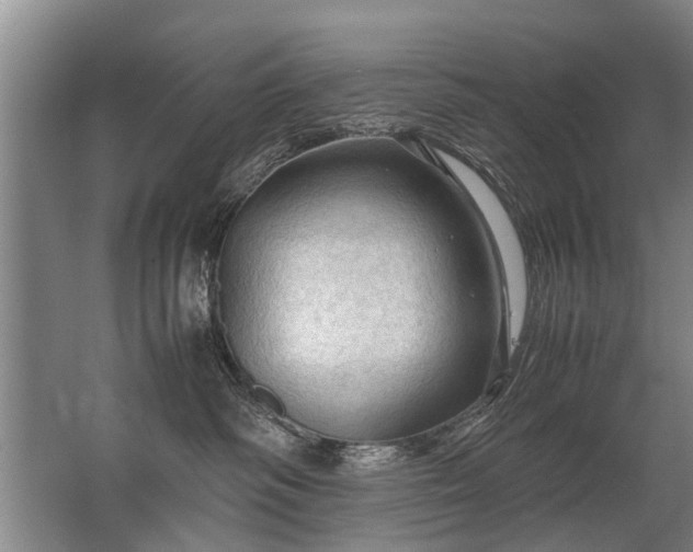 X0000067520334200604150206