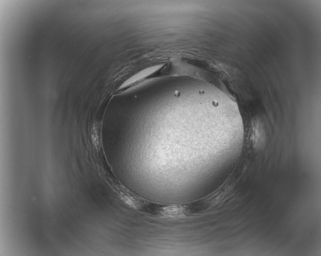 X0000067520335200604150206