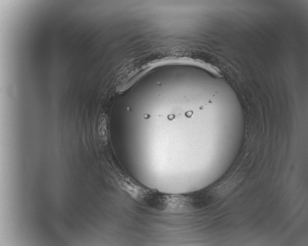 X0000067520336200604150206