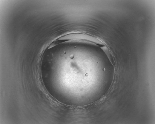 X0000067520337200604150205