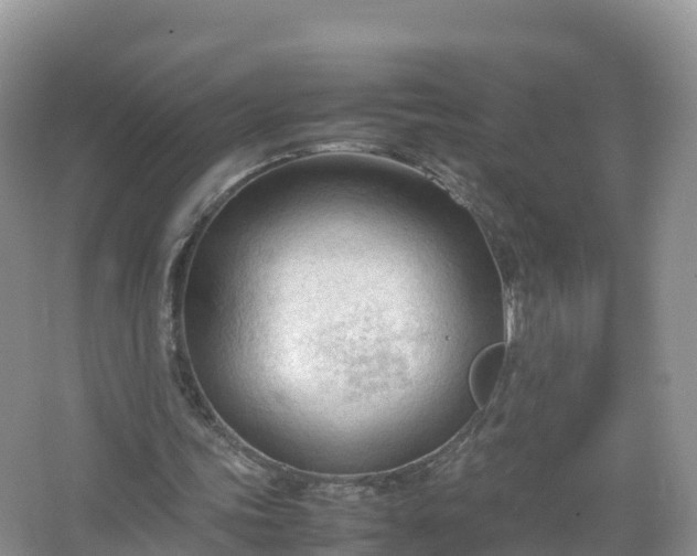 X0000067520339200604150205