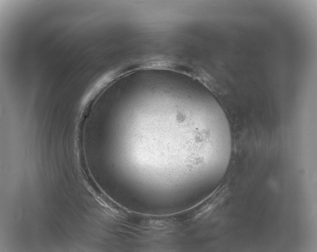 X0000067520341200604150205